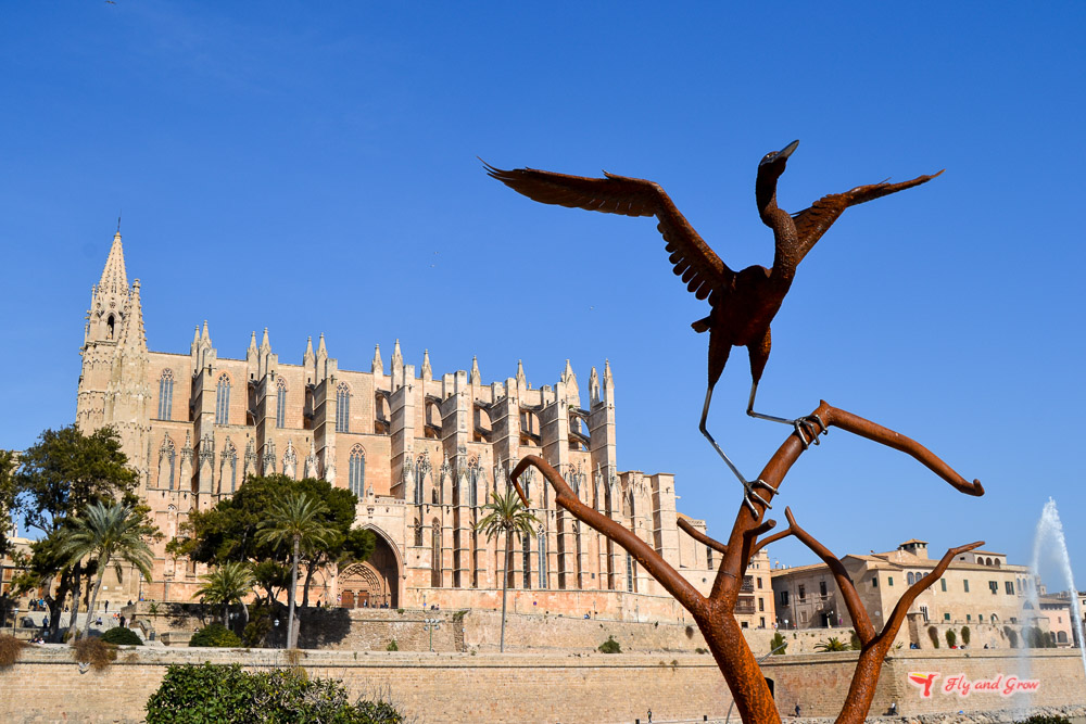 catedral Mallorca
